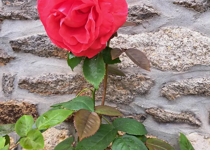 De La Gouvrie Διαμέρισμα Pacé